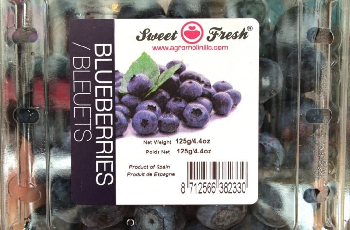 Spain Blueberries