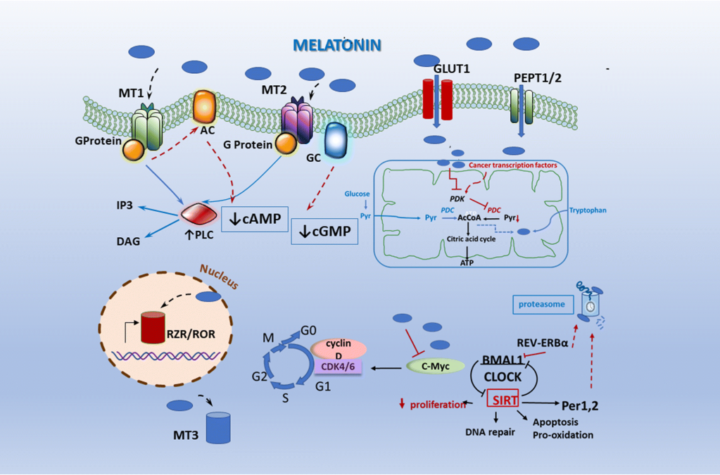 Riptropin effects