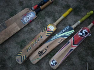 cricket bat