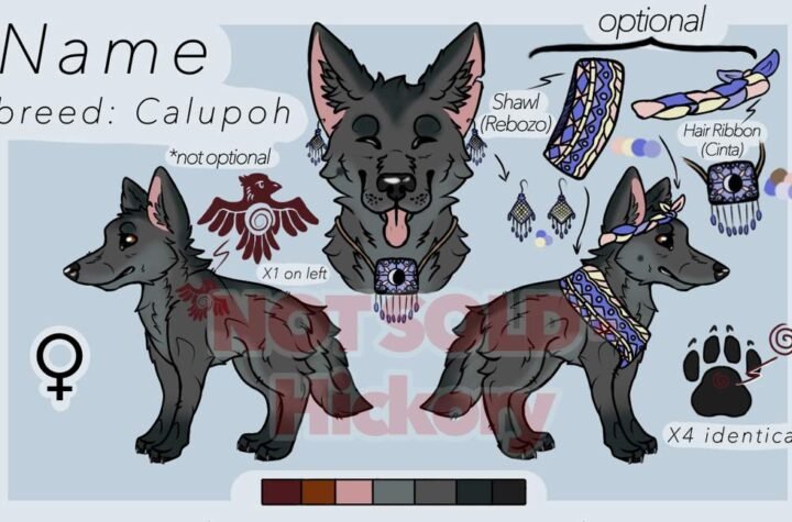 buy or adopt calupoh